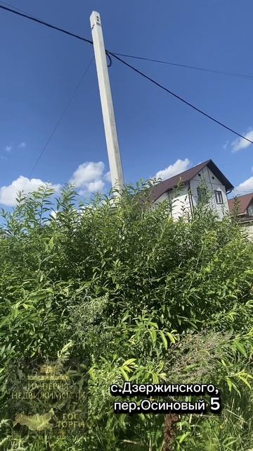 в Кировском районе(с.Дзержинское) по адресу Осиновый переулок 5. смотреть онлайн