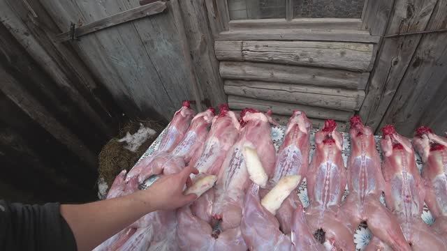 Отличный забой. Улучшеный корм. Отличная новость.