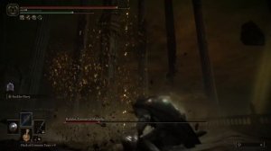 ELDEN RING DLC - Final Boss parry kill