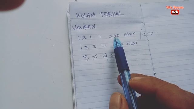 JUMLAH TEBAR BENIH LELE BERDASARKAN UKURAN KOLAM TERPAL UNTUK PEMULA смотреть онлайн