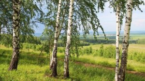 Дуэт «ОТРАДА» «Ты - любовь моя, Русь великая!» сл. Ирины Скибиной, муз. Светланы Масло