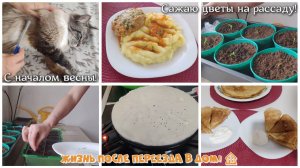 #93 С началом весны! САЖАЮ ЦВЕТЫ НА РАССАДУ! 🌱 ЖИЗНЬ ПОСЛЕ ПЕРЕЕЗДА В ДОМ! 🏠