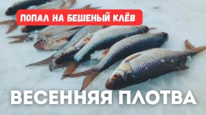 Ехал за окунем, а попал на БЕШЕННЫЙ КЛЁВ плотвы. Рыбалка весной.