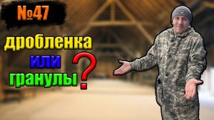 №47 Чем лучше кормить свиноматок?!