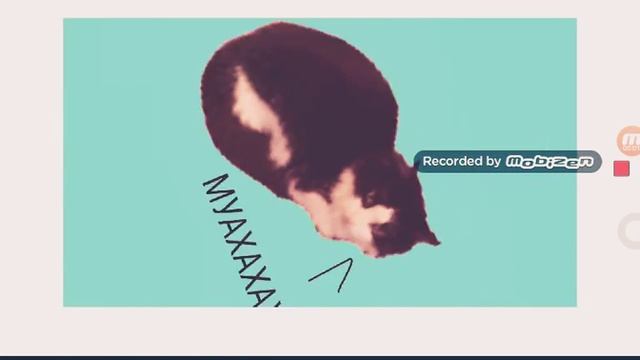 Мароженка R.I.P 2019-2019 помним, любим, скорбим (самое грустное видео в мире) смотреть онлайн