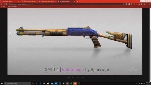 CS:GO Fractured Case Review!