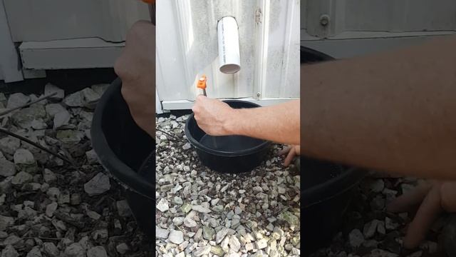 Racoon proof auto cat feeder. смотреть онлайн