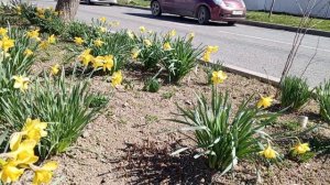 video_2025-03-19_16-55-00