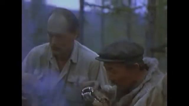 Голова медведя амикан гук. смотреть онлайн