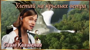 Улетай на крыльях ветра. (Саша Квашеная)