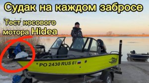 Попали на раздачу судака. Тест новинок: Носовой мотор Hidea и катушка Haibo Arise LFC 40 Pro PG.