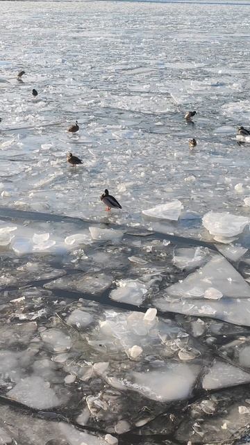 Р. Москва, Печатники смотреть онлайн