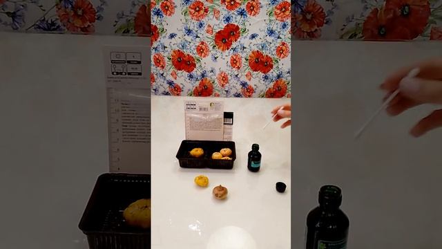 Подготовка гладиолусов к посадке смотреть онлайн