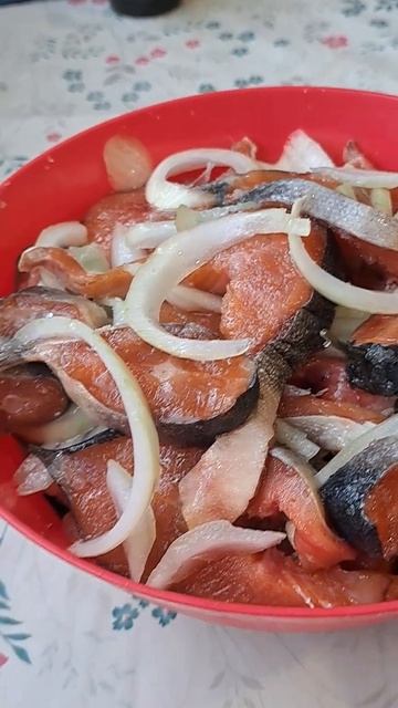 решила посолить рыбу горбушу.