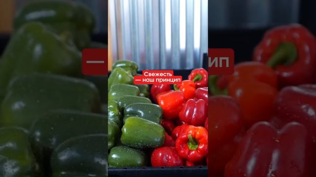 Производство корпоративного питания в сердце мегаполиса смотреть онлайн