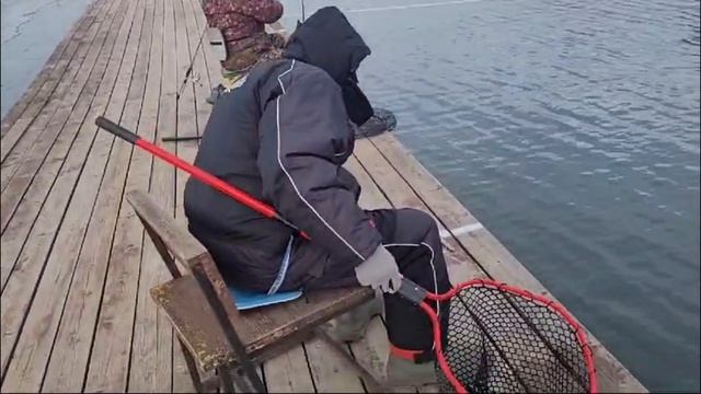 19-03-2025 смотреть онлайн