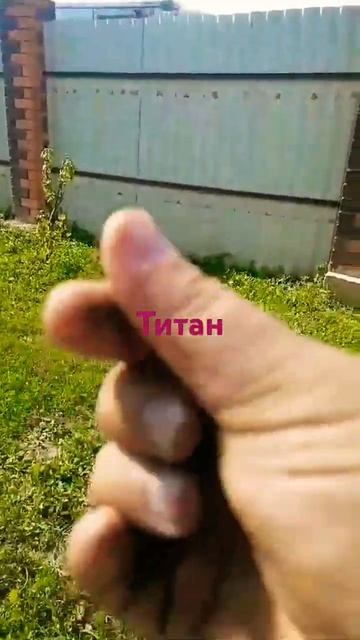 Друзья!мы изготавливаем для любых собак и кошек Вольер.) смотреть онлайн