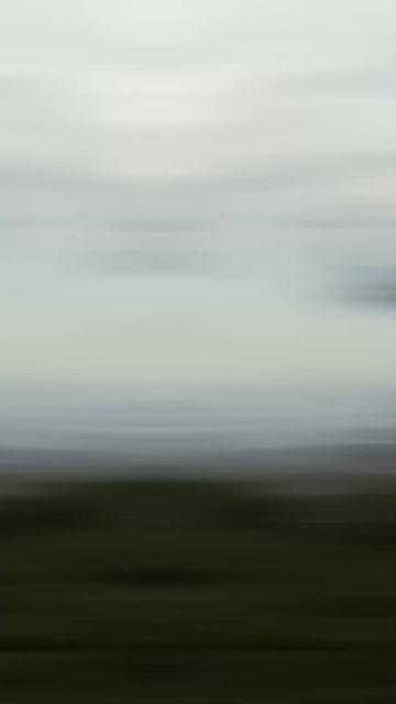 Почему нельзя жечь сухую траву?