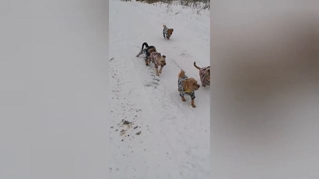 Новогоднее настроение смотреть онлайн