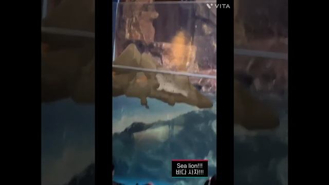 Lotte world aquarium (Life Science) смотреть онлайн