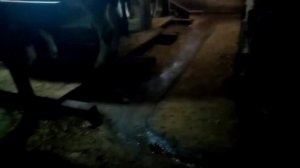 Первое видео спустя 4 года после переезда в село