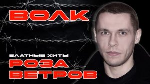 ВОЛК - Роза ветров - Блатные хиты #блатняк  @blatnoe_radio