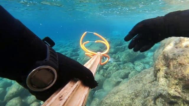 ψαροντουφεκο μοιραία συνάντηση στα ρηχά για τον κέφαλο spearfishing смотреть онлайн