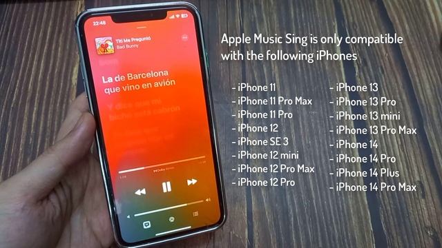Fix Apple Music Sing Not Showing - Apple Music Sing Not Working