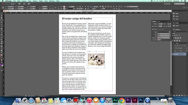 Imágenes en Indesign смотреть онлайн