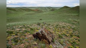 Достопримечательности города Оренбург