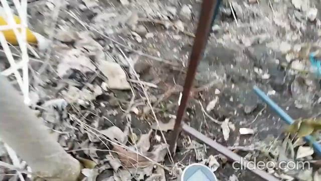 Горшечный план смотреть онлайн