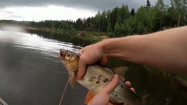 🐠 .моменты улова рыбы . свазил брата на рыбалку_ смотреть онлайн