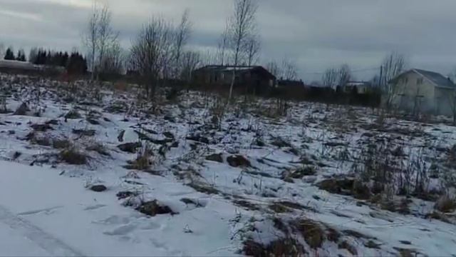 Участок 11 Сиверская 1,8 млн