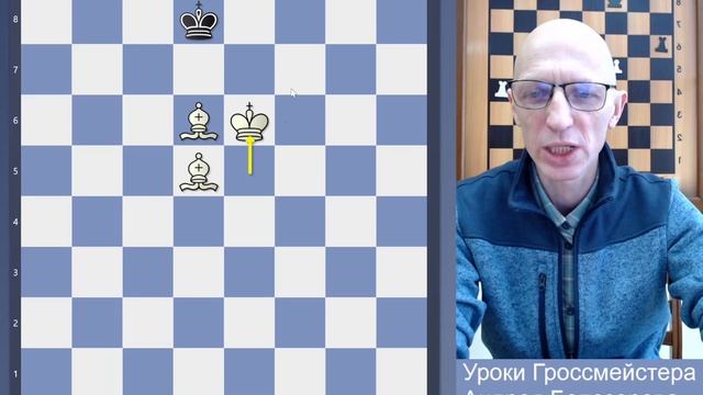 Мат двумя слонами смотреть онлайн