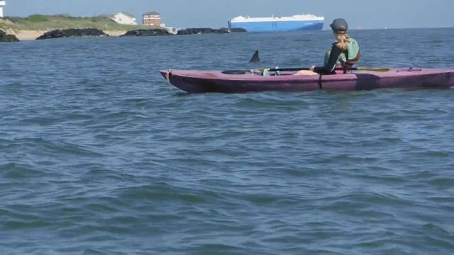 6 30 2018 DOLPHIN ADVENTURE WED 9 AM 9 ++++ смотреть онлайн