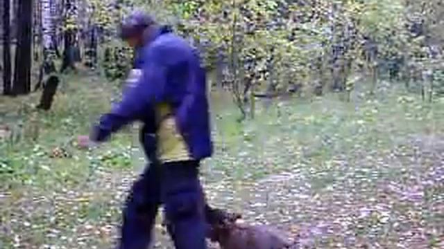 Гая1 смотреть онлайн