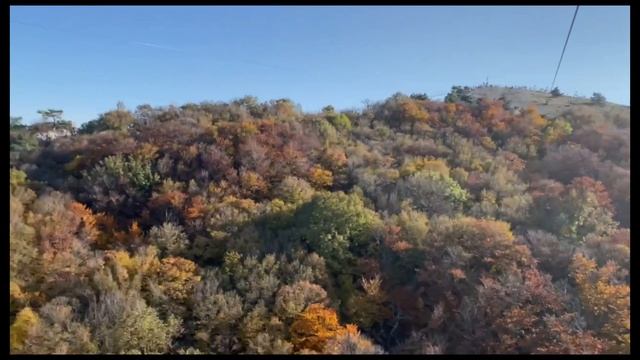 0319 смотреть онлайн