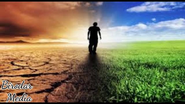 Шукурулох Домла Сумалак хакида / Shukurullo Domla sumalak xaqida смотреть онлайн