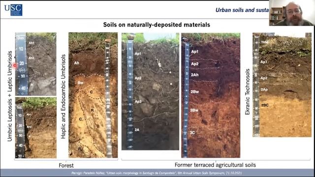 Urban Soil Morphology in Santiago de Compostela – NW Spain - Dr. Remigio Nunez | USI 6th Symposiu смотреть онлайн