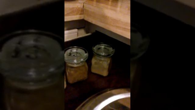 COCO GETS AN INDIAN SPICE BOX!! (AKA DABBA) смотреть онлайн