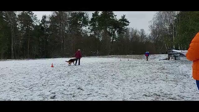 5.  выражено/пож DUSTIN V. ARIOVIST (Willy v. Kuckucksland – Carlina v. Winnloh)