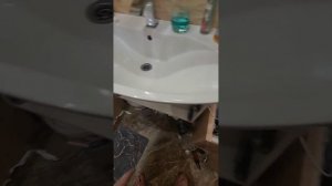 Подключаем робот пылесос к канализации! l20 ultra