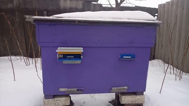 Что случилось с пчелами смотреть онлайн