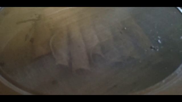 Hot To Make Taquitos Con Guacamole / Taquitos De Picadillo