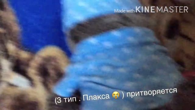 Типы басиков на карантине смотреть онлайн