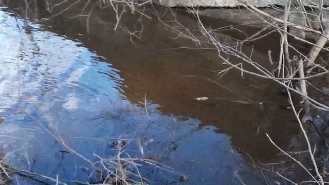 На разведку за металлом. Вода прет, старую дамбу окончательно размыло.
