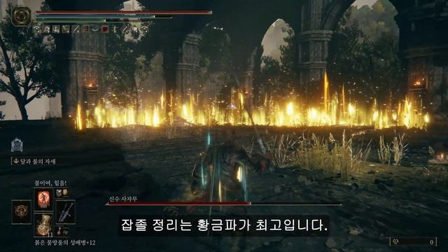 [엘든링dlc]2번째 신수 사자무 라우프 기슭 입니다.9회차 смотреть онлайн