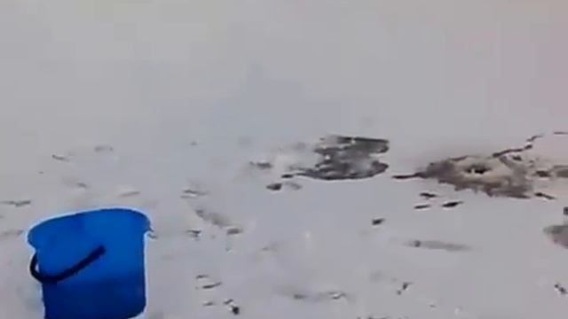 прикол на рыбалке зимой смотреть онлайн