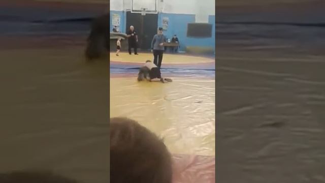 Греко-римская борьба в Харькове счет 18:8 смотреть онлайн