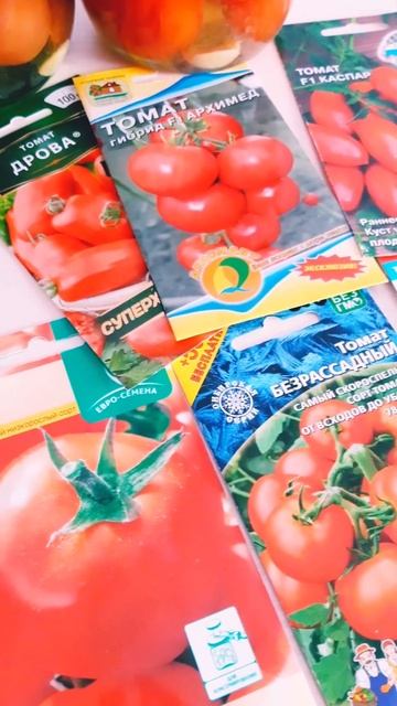Скороспелые томаты#Shorts